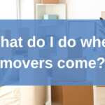moving boxes with a blue text box that says: what do I do when movers come?